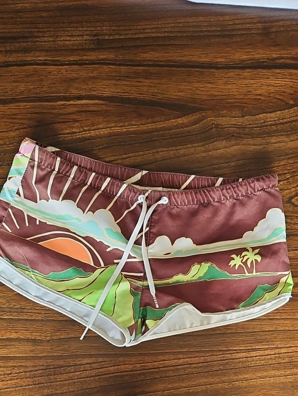 Roxy Vintage Brown Scenic Print Shorts with Green & Cream Accents